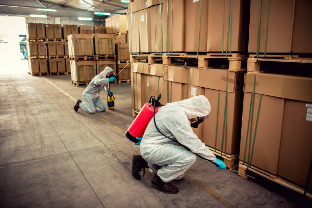 Professional Pest Control in Mascoutah, IL