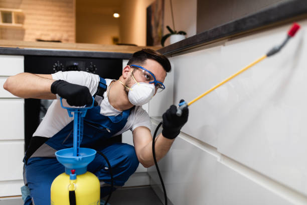 Best Bed Bug Extermination  in Mascoutah, IL