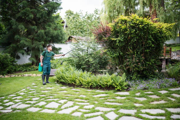 Best Residential Pest Control  in Mascoutah, IL