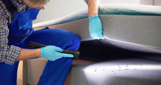 Best Pest Removal Services  in Mascoutah, IL