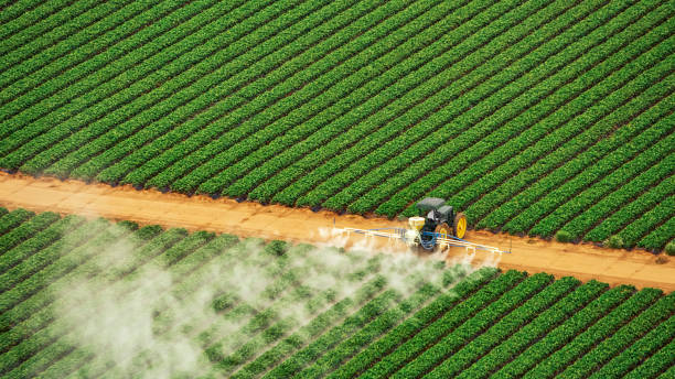 Best Pest Control for Homes  in Mascoutah, IL