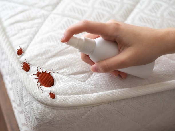 Best Emergency Pest Control  in Mascoutah, IL
