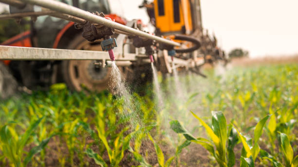 Best Pest Control Near Me  in Mascoutah, IL