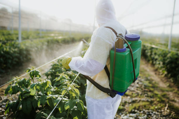 Best Commercial Pest Control Services  in Mascoutah, IL
